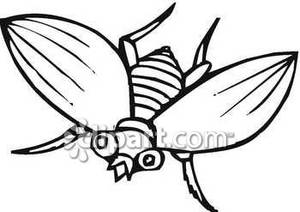 300x212 Outline Of A House Fly Royalty Free Clipart Picture