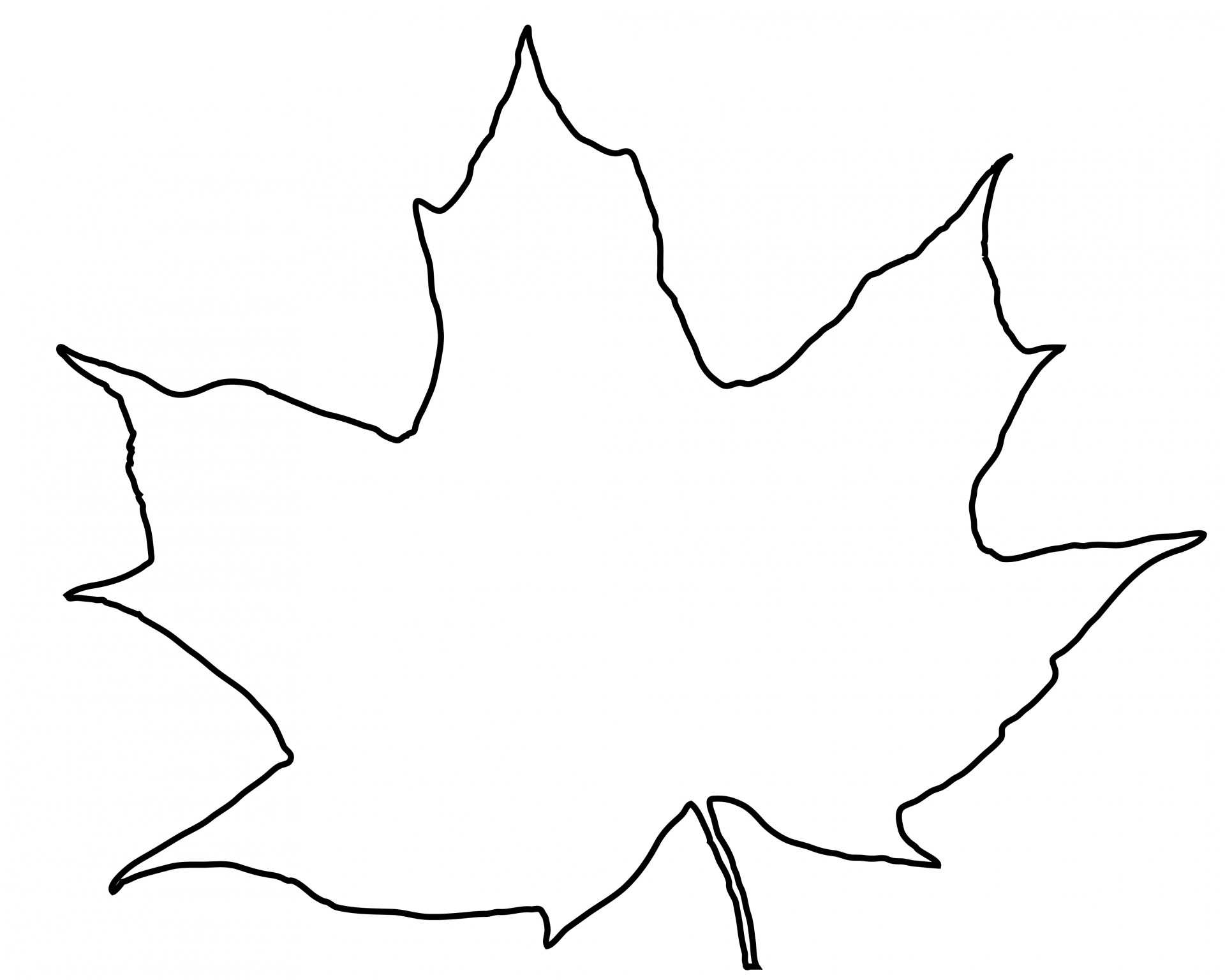 1920x1536 Leaf Outline Free Stock Photo