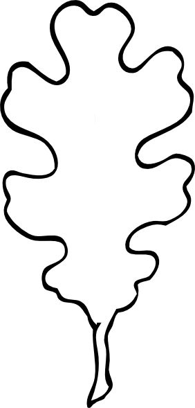 282x589 Best Leaf Outline Ideas Leaf Drawing, Flower