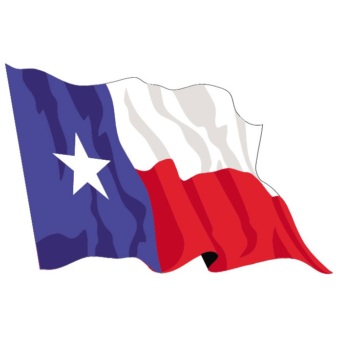 660x660 Texas Vector Flag