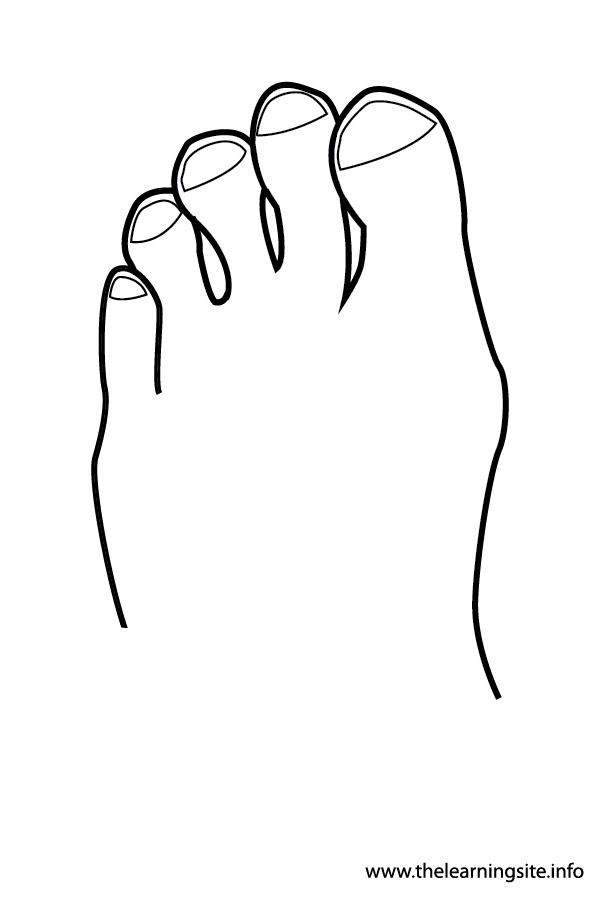 600x900 Outline Coloring Page