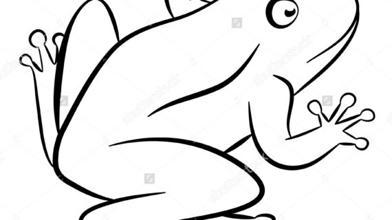 570x320 Outline Drawing Of Animals Cute Pigs Outline Funny Illustration