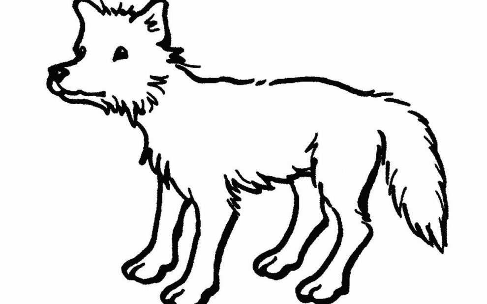 990x619 Beautiful Outlines Of Animals 93 On Coloring Pages For Adults