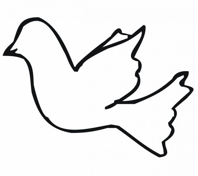 678x600 Images Outlines Of Birds 38 On Coloring Pages Of Animals