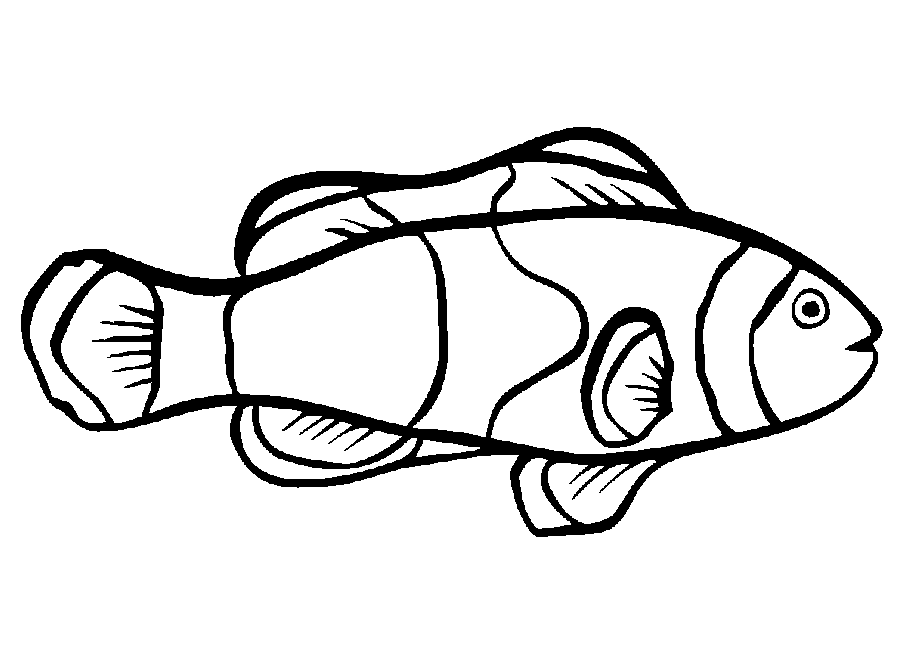 900x650 Fish Outlines Many Interesting Cliparts