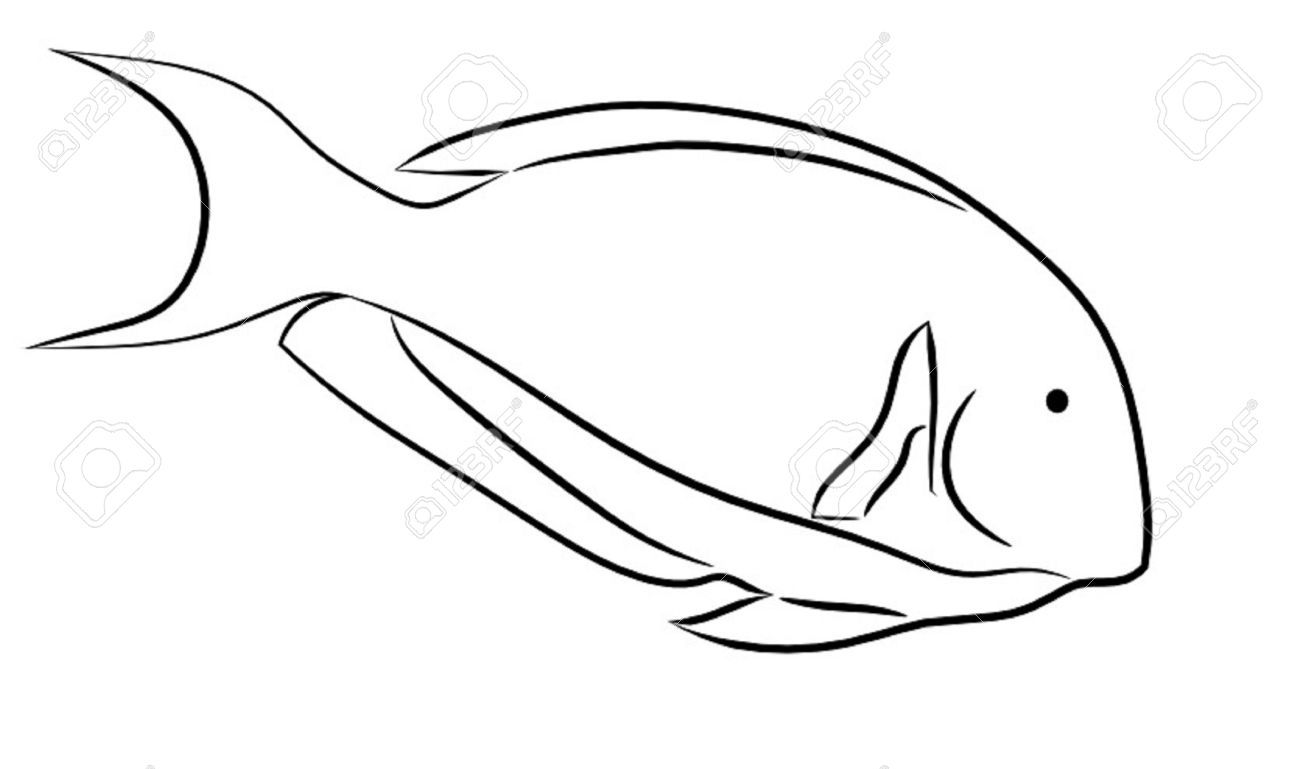 1300x769 Tropical Fish Outline Clipart Collection