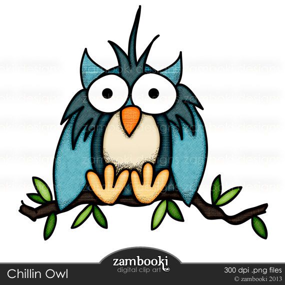 570x570 12 Best Owl Clip Art Images Draw, Paintings
