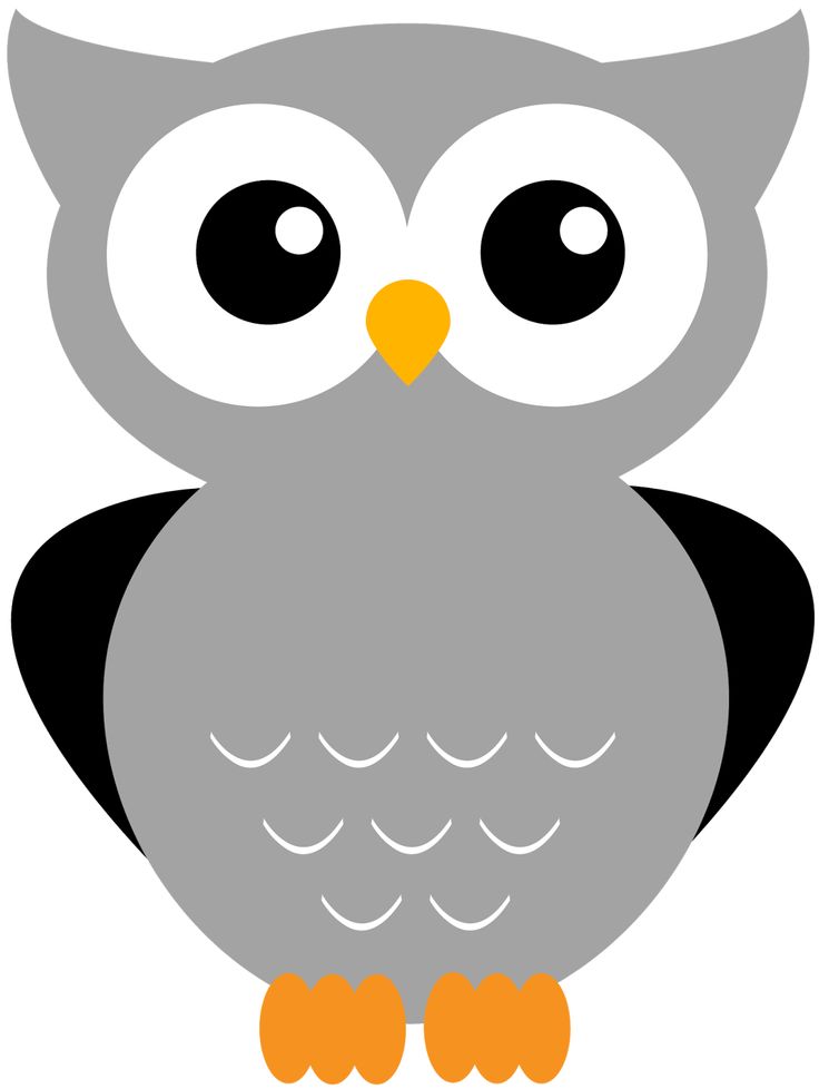 736x978 123 Best Owl Clipart Images Patterns, Owl And Pictures