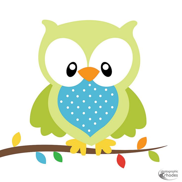 736x736 Light Blue Clipart Owl