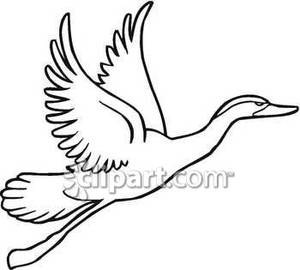 300x270 Flying Owl Clipart Black And White Clipart Panda