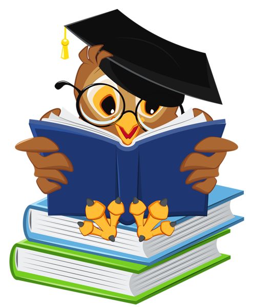 496x600 Best School Owl Clipart