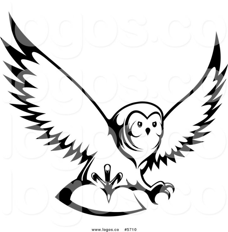 728x742 Outline Of An Owl Clip Art Library Cliparts To Colour Animal
