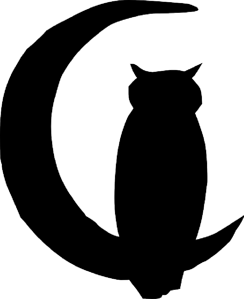 800x978 Black, Outline, Moon, Silhouette, Cartoon, Bird, Owl