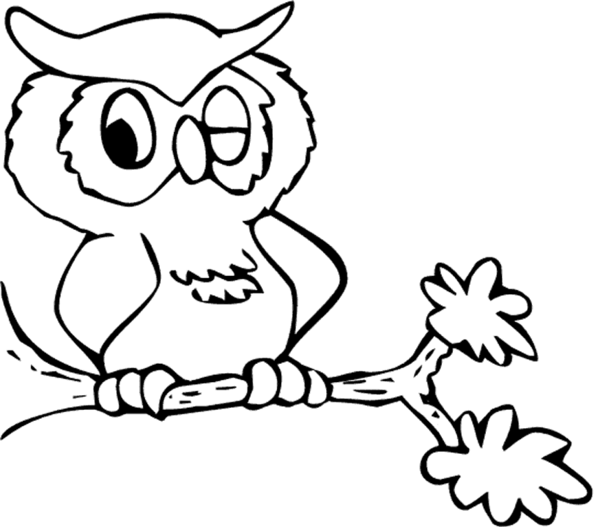 864x756 Outline Of An Owl Many Interesting Cliparts