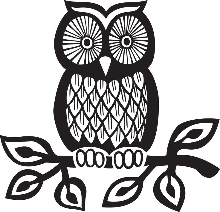 736x707 Owl Clipart Outline