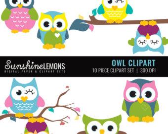 340x270 Items Similar To Cute Owl Clipart Clip Art