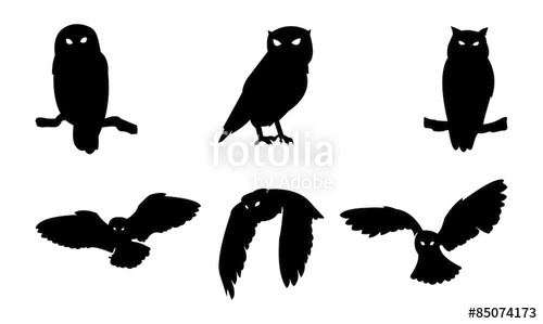 500x299 Owl Bird Silhouette Stock Image And Royalty Free Vector Files