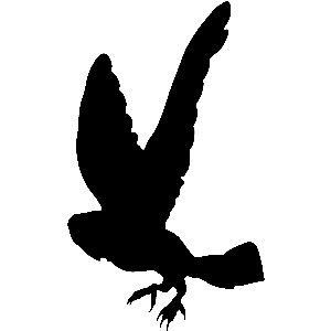 300x300 Owl Silhouette Clipart