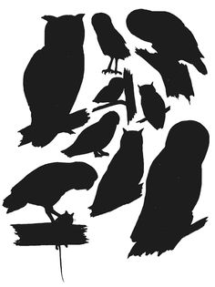236x315 Owl Silhouette Stencil Stencils Owl Silhouette