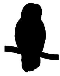 200x252 Barn Owl Silhouette Clip Art