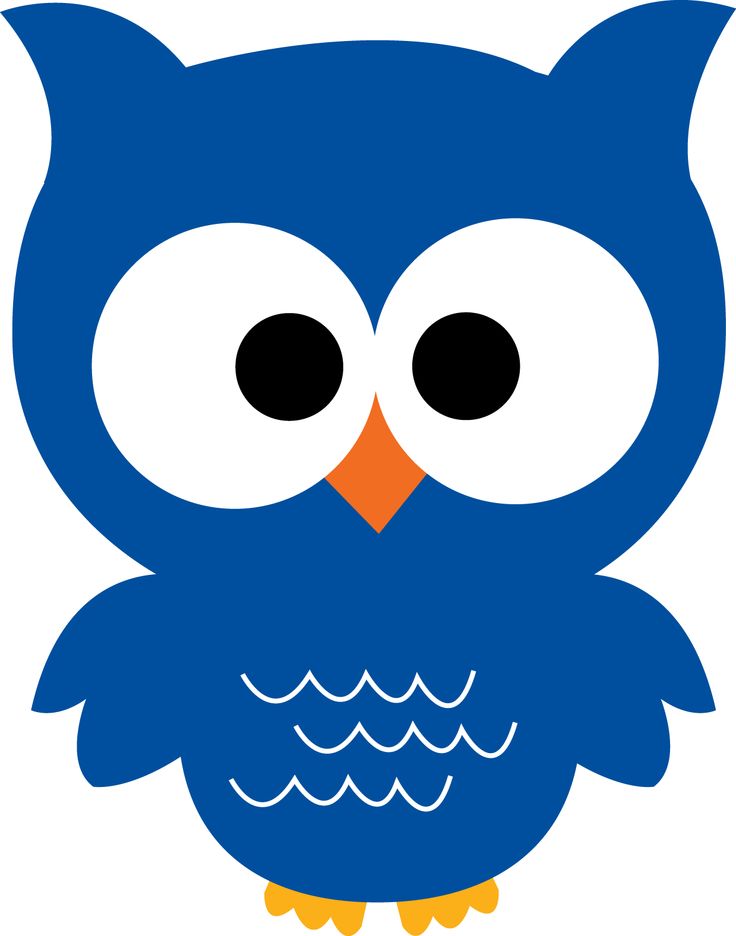 736x936 Blue Owl Clipart