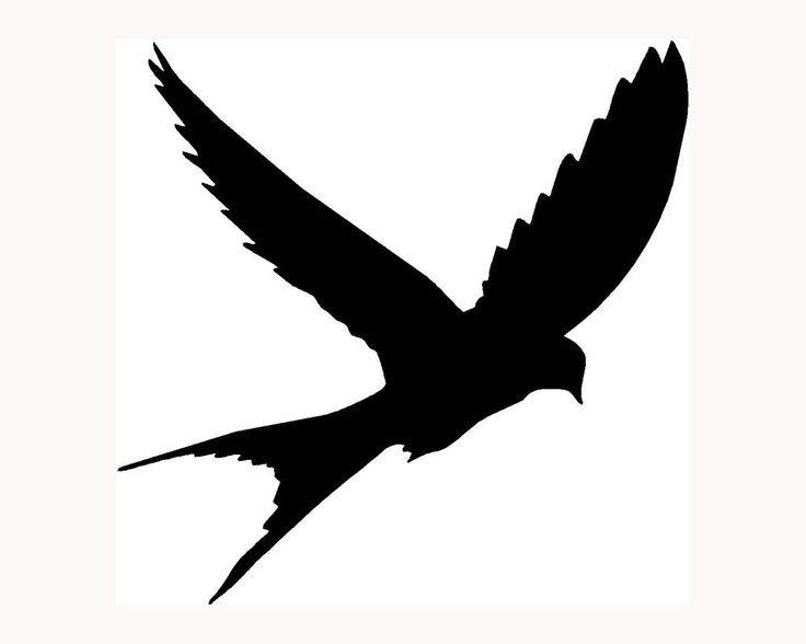 736x588 Best Bird Silhouette Ideas Bird Silhouette Art