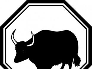 310x233 Ox Clip Art