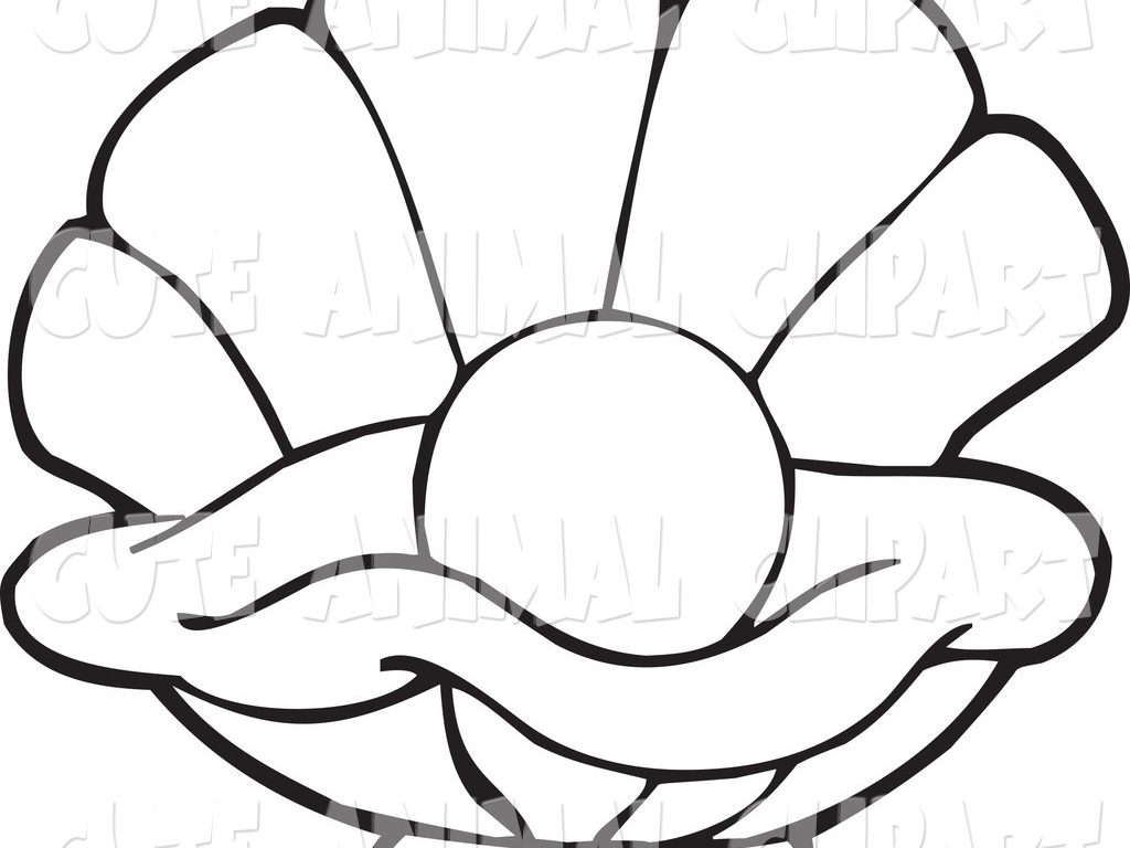 1024x768 Download Oyster Animal Coloring Pages