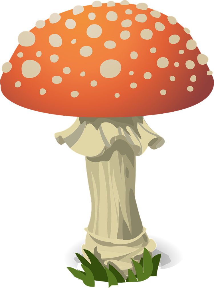 750x1011 Mushroom Clipart Free Download Clip Art