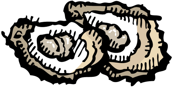 595x300 Oyster Profiles