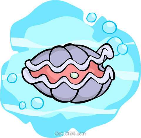 480x471 Oyster Royalty Free Vector Clip Art Illustration Anim2037