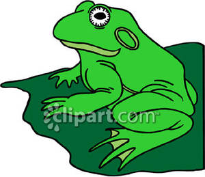 300x259 Toad On A Lily Pad