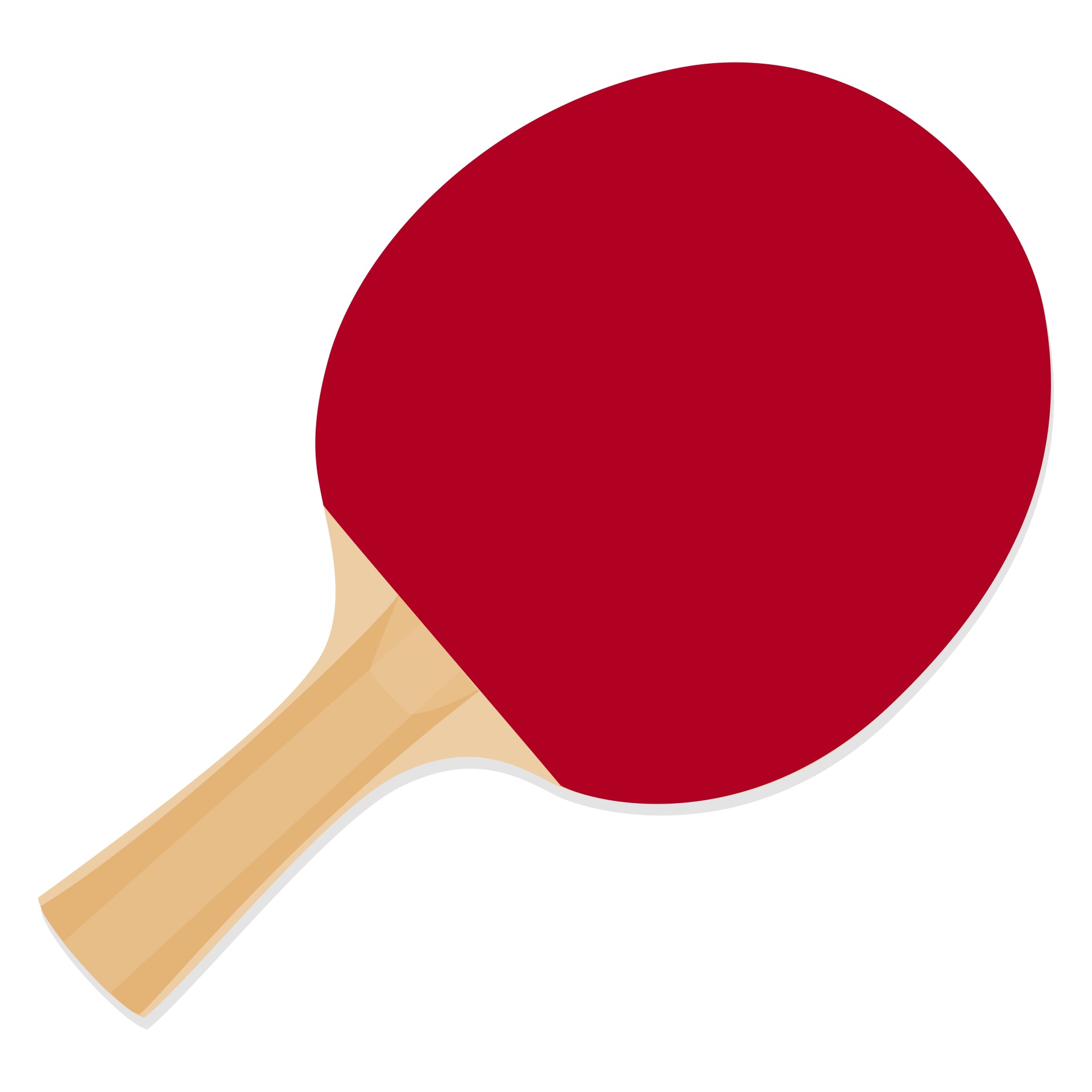1920x1920 Dhs Ping Pong Paddle A5002, Table Tennis Racket
