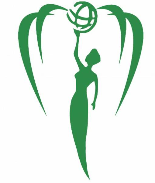 510x600 Miss Earth Illinois Pageant Tiara Magazine