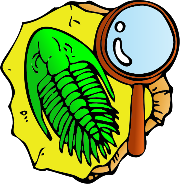 706x720 Rock Clipart Paleontologist