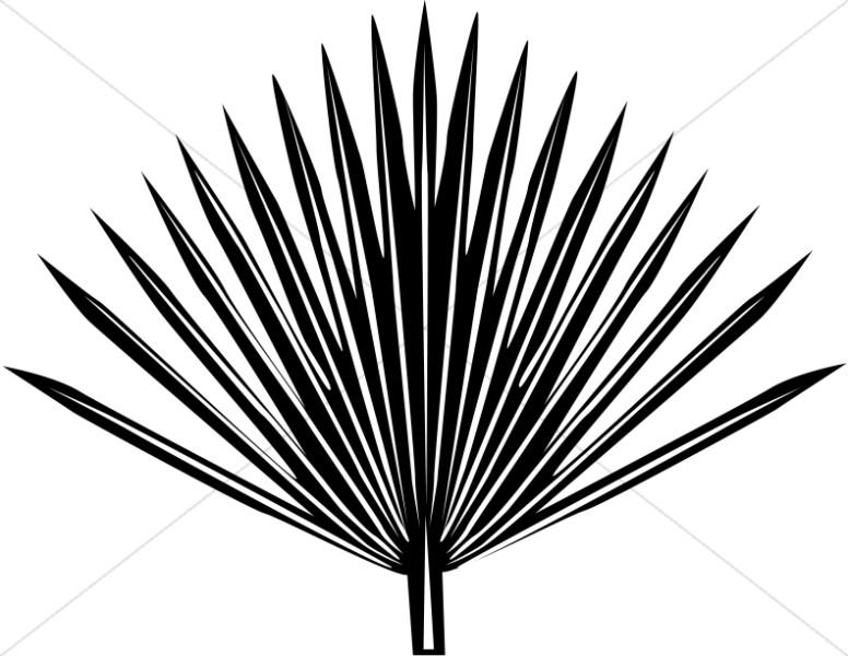 776x600 Palm Frond Palm Leaf Clipart