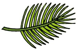 250x161 Tropical Leaf Clipart