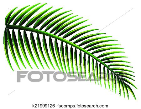 450x349 Clip Art Of Palm Leaves K21999126