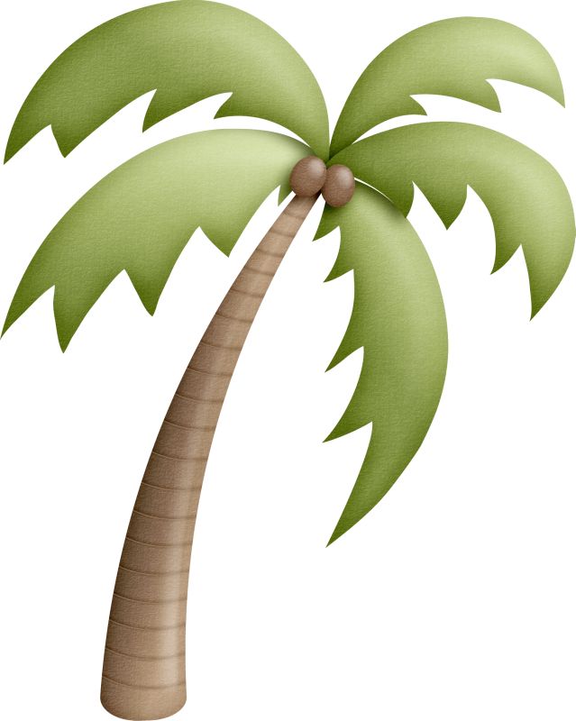 639x800 225 Best Flowers,tree,weather Graphics Images Fruit