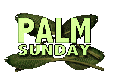 390x260 Palm Sunday