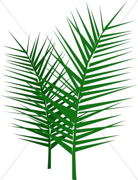 468x612 Palm Leaf Clipart Many Interesting Cliparts