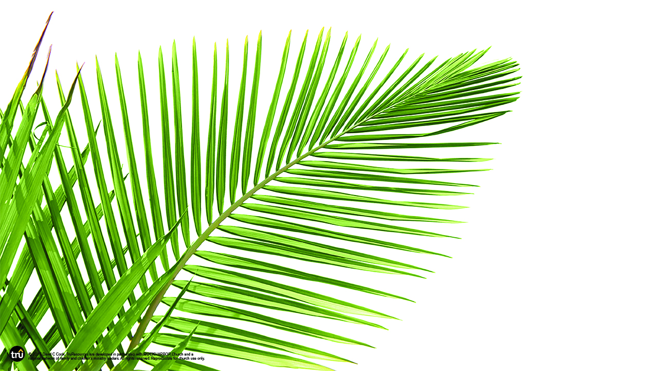 1280x721 Holy Week Palm Sunday