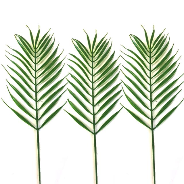 640x640 Popular Palm Sunday Tropical Palm Cycas Leaves