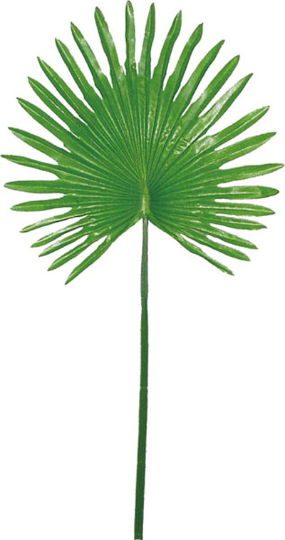 400x757 Wordlady Does Palm Sunday Have Something To Do With Hands