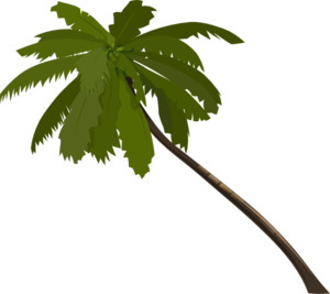 300x267 Top 81 Palm Tree Clip Art