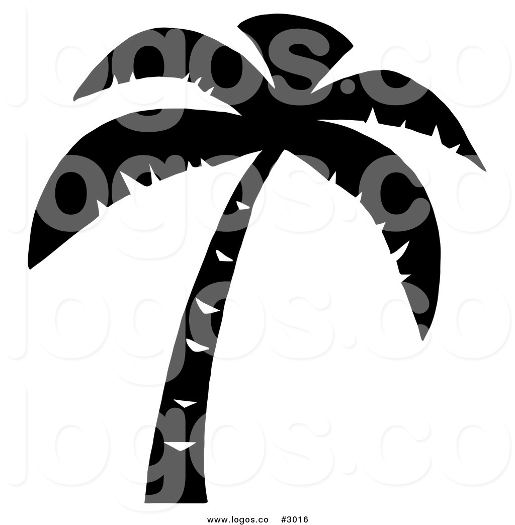 1024x1044 Royalty Free Vector Of A Palm Tree Black And White Logopalm Tree