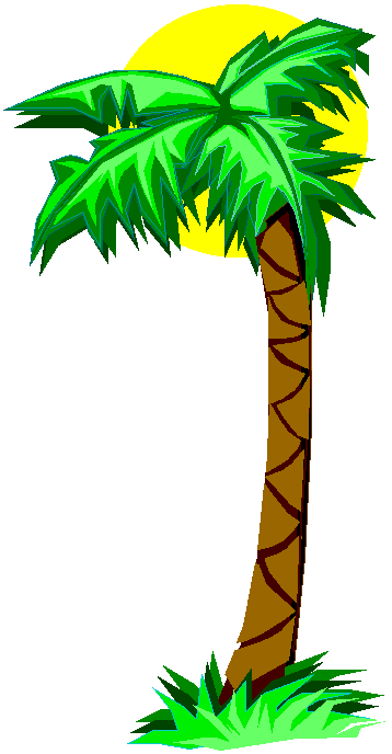 358x688 Palm Tree Cartoon