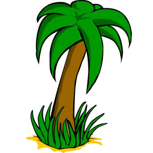 500x500 Cartoon Palm Tree Images