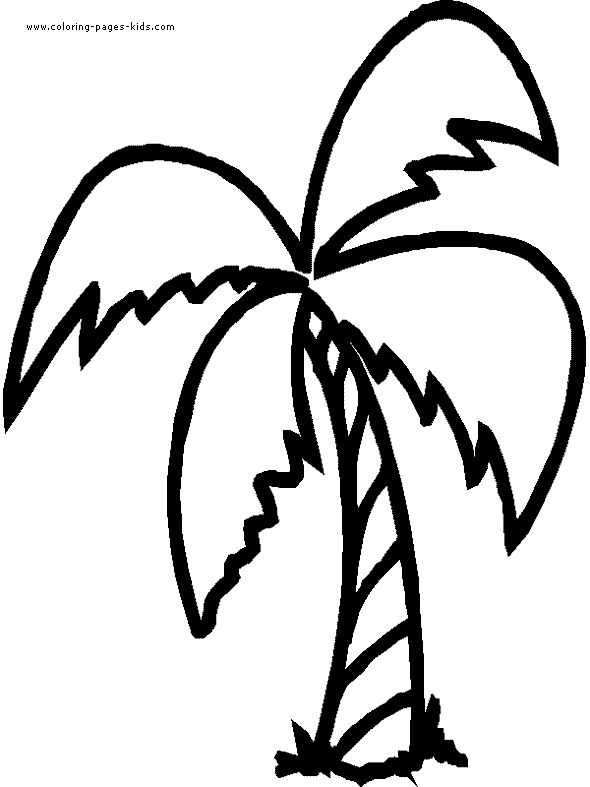 Palm Tree Clip
