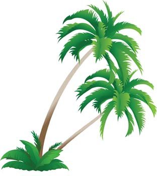 312x350 Leaf Of Palm Tree Clip Art, Vector Leaf Of Palm Tree